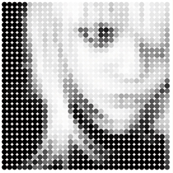 Op Art Woman Picture